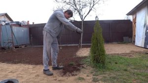 Сажаю газон на песке эксперимент | Загородная жизнь