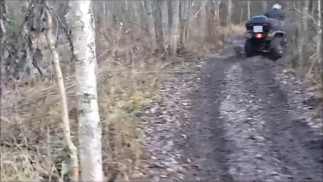 стелс леопард 10 11 14 смотреть онлайн
