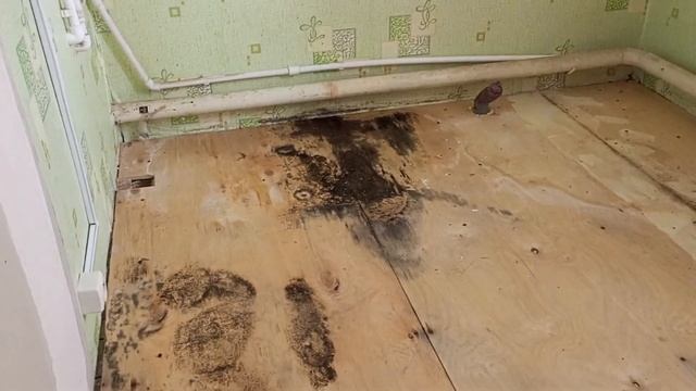 Мы в шоке , плесень на кухне . как избавиться от плесени . #помощь #жизнь #доступнаясреда #любовь смотреть онлайн