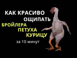 Как КРАСИВО ОЩИПАТЬ БРОЙЛЕРА / КУРИЦУ / ПЕТУХА за 10 минут. Как ощипать птицу.