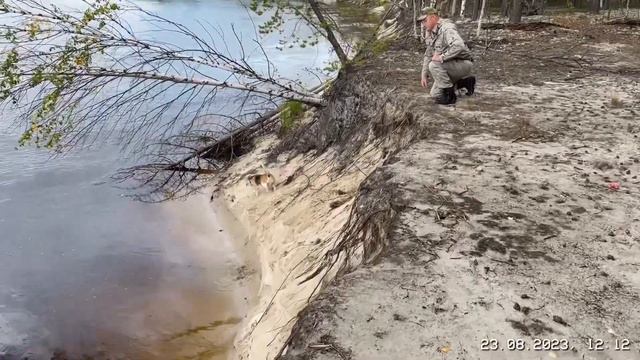 Прогулка по Лянторскому лесу с любимым биглем. смотреть онлайн