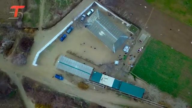 Туй 2022 Гулистон смотреть онлайн