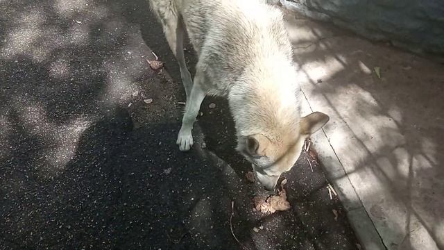 Вкусности для кормящей мамочки!!! смотреть онлайн