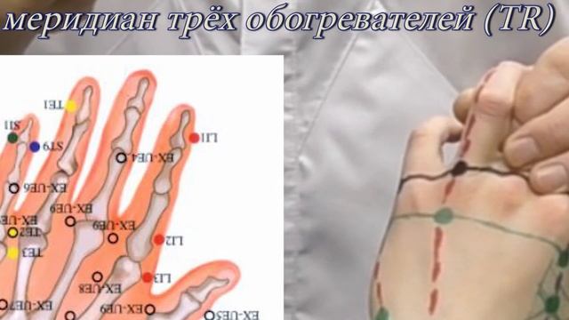 Секреты китайской медицины (26). Точка е-мэнь. Меридиан трёх обогревателей TR2. смотреть онлайн