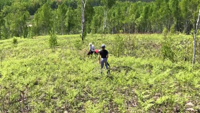 Поход выходного дня, забрались на сопку, Хабаровский край ⛰️ смотреть онлайн
