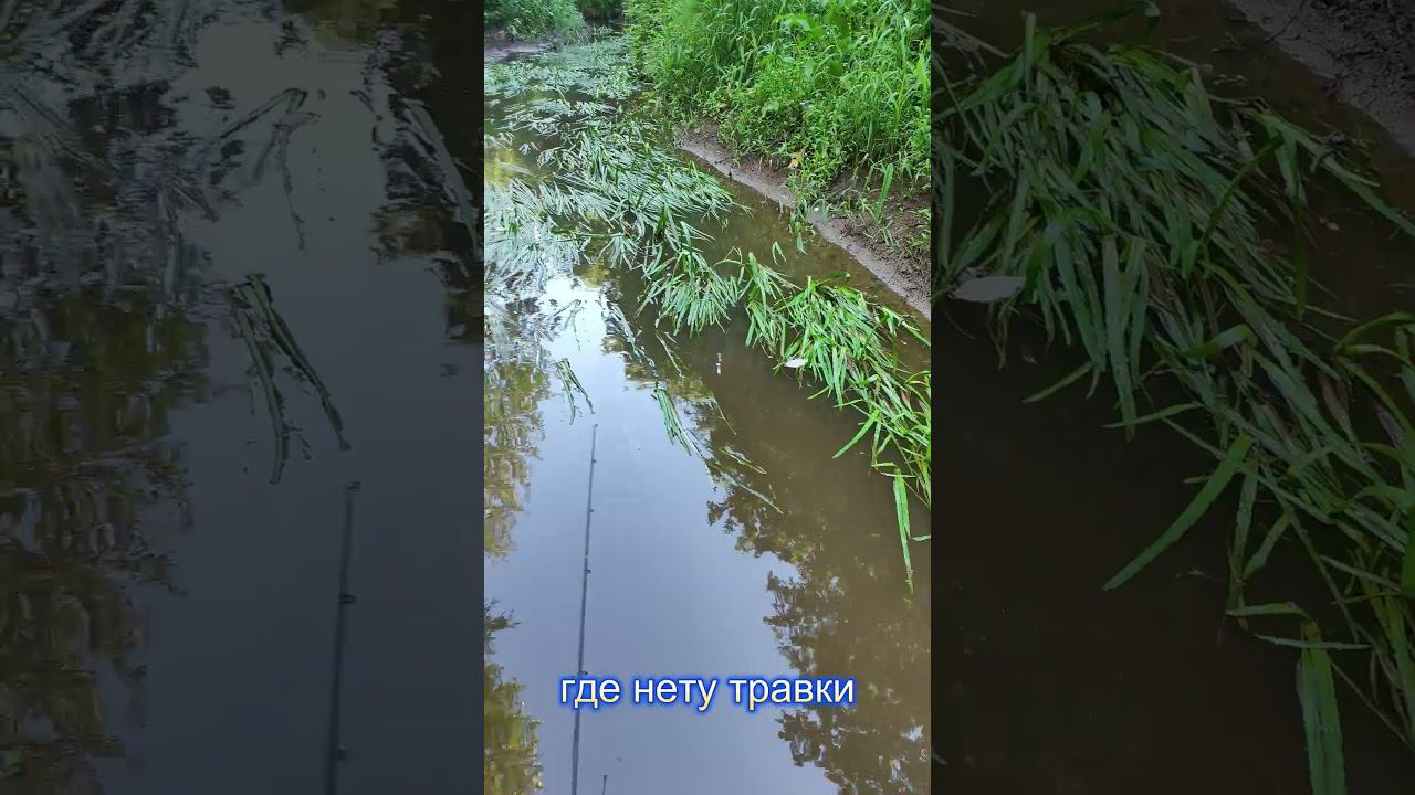 #мормышинг | Плотва на спиннинг в луже |1 смотреть онлайн