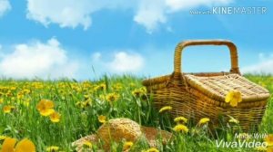 Песня - Ах удивительная жизнь моя.