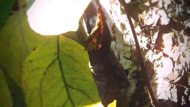 End September смотреть онлайн