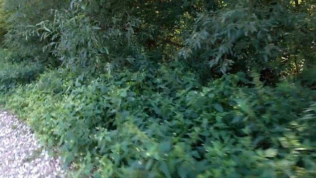 1459, 29.07.2021, город Орёл, Правый берег Рыбницы, железнодорожный мост через реку Рыбницу, дачи смотреть онлайн