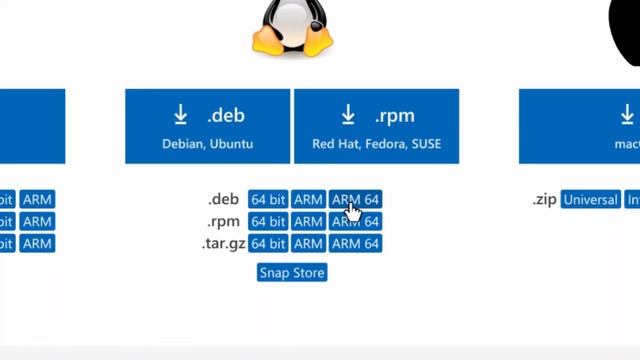 How To Install Visual Studio Code On The Lenovo Duet Chromebook (And Other ARM Chromebooks) смотреть онлайн