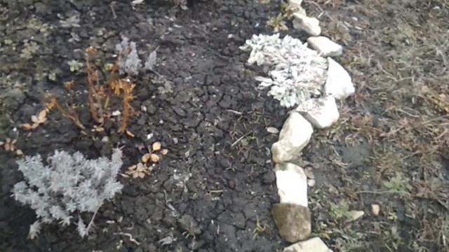 Посеяла томаты в парник/Обзор сада в марте смотреть онлайн