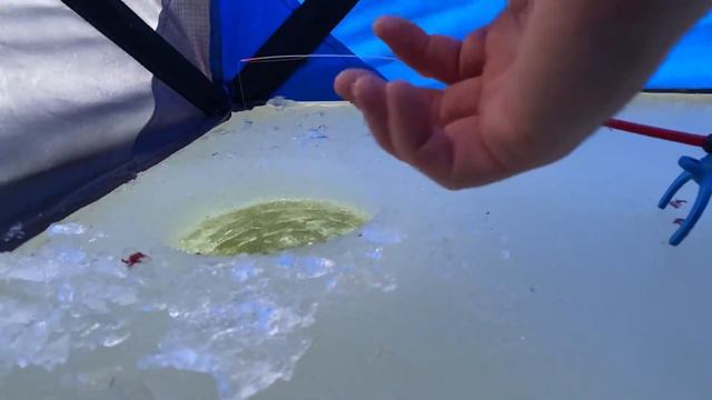 РЫБАЛКА НА ЛЕЩА! НЕ ПРОЛАЗИТ В ЛУНКУ! смотреть онлайн