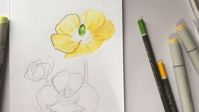 Урок - Рисуем Цветочки Маркерами За 20 минут! смотреть онлайн