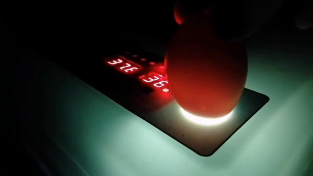 Овоскопируем куриное яйцо. смотреть онлайн