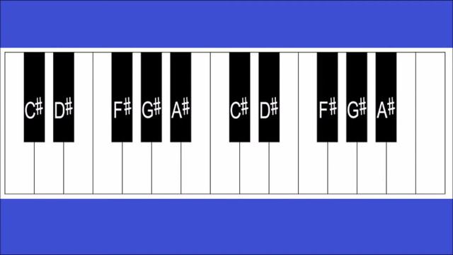 How Are Piano Keys Labeled? How To Label The Piano Keyboard смотреть онлайн