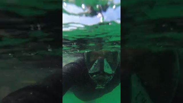 Море срач/хочу обратно в Эйлат/снорклинг с женой смотреть онлайн