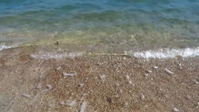 6 Б класс ГБОУ СОШ № 4 имени А Н Кесаева Давайте беречь наше море! смотреть онлайн