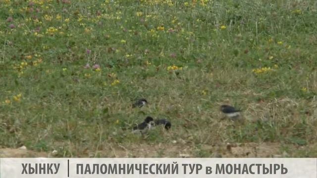 ПАЛОМНИЧЕСКИЙ ТУР в МОНАСТЫРЬ ХЫНКУ смотреть онлайн