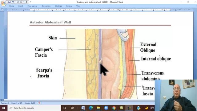 Anatomy GIT Module in Arabic 1 ( Layer of Anterior Abdominal Wall ) , by Wahdan смотреть онлайн