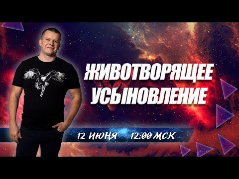 ЖИВОТВОРЯЩЕЕ УСЫНОВЛЕНИЕ. Андрей Яковишин смотреть онлайн