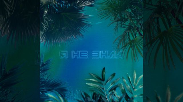 Я НЕ ЗНАЛ (Original Mix) смотреть онлайн
