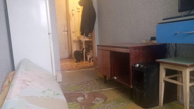 VID_20230110_132039.mp4