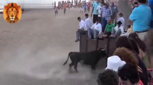 Сумасшедшие Быки против Людей - Люди, Утомленные Дикими Сумасшедшими Быками, (НАСТОЯЩИЙ!) (Новый)