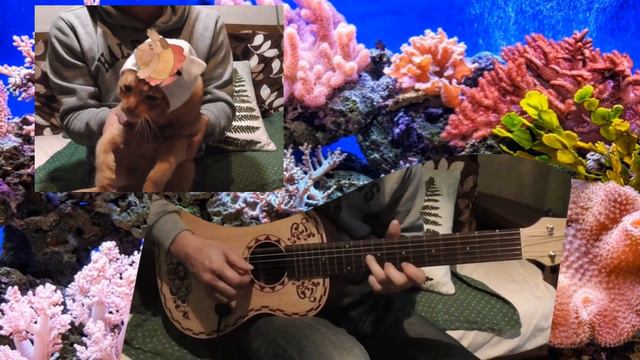 ミニギター で「 およげ たいやきくん 」を演奏！で踊るねこ？ смотреть онлайн