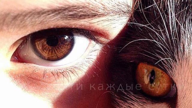 Я схожу с ума😫💖 смотреть онлайн