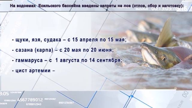 На водоёмах СКО вводят ограничения из-за нереста. смотреть онлайн