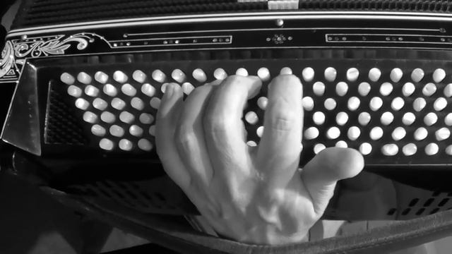 Badass Blues Accordion смотреть онлайн