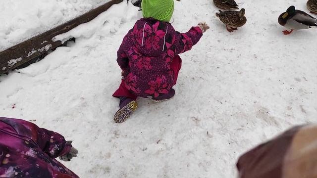 Где утки зимуют. смотреть онлайн