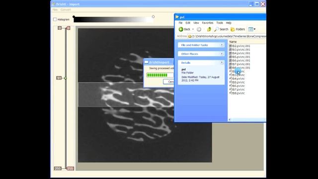 Drishti : Import and Render - 3 смотреть онлайн