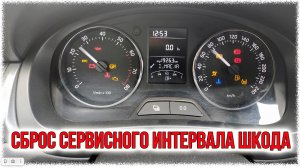 Сброс сервисного интервала Skoda Rapid (Шкода Рапид)