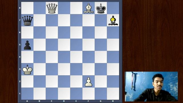 Trapping The Queen | Puzzle Impossible | Brilliant Chess Problems смотреть онлайн