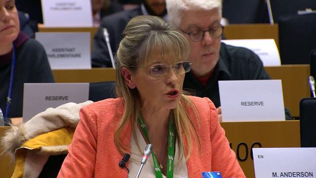Martina Anderson votes Brexit deal to stop 'hard border' Ireland смотреть онлайн