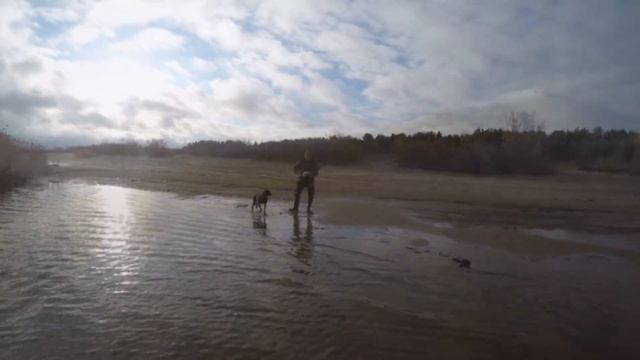 ? За уткой на Ладогу. Самотопом с собакой. 27 Октября 2021 смотреть онлайн