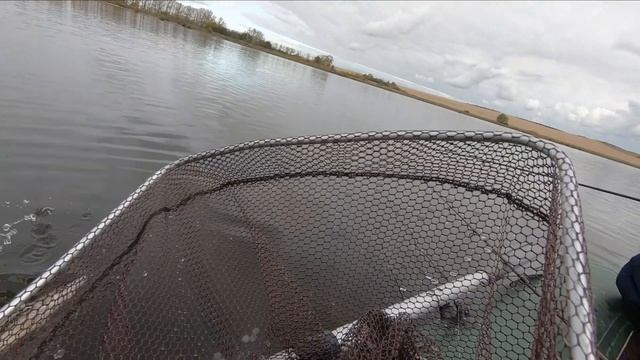 Megabass Vision Oneten 110 R+2. Октябрьская щучка.