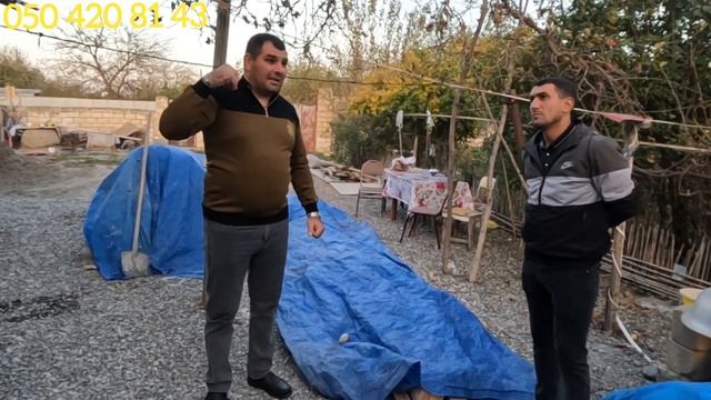 31 10 23. Gör bu dünyada nə gözəl savab əməl qazanan.Adamlar var ?? смотреть онлайн