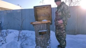 С ЧЕГО Я НАЧИНАЛ ПЧЕЛОВОДСТВО?! ПРОСТОЙ СПОСОБ. КОЛОДНОЕ ПЧЕЛОВОДСТВО