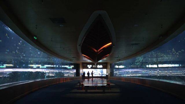 OCEANOGRAFIC VALENCIA - largest Aquarium & Marine Park in Europe 4K смотреть онлайн