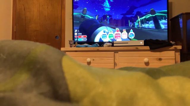 Slime rancher #1 GILDED GINGER BOIS смотреть онлайн