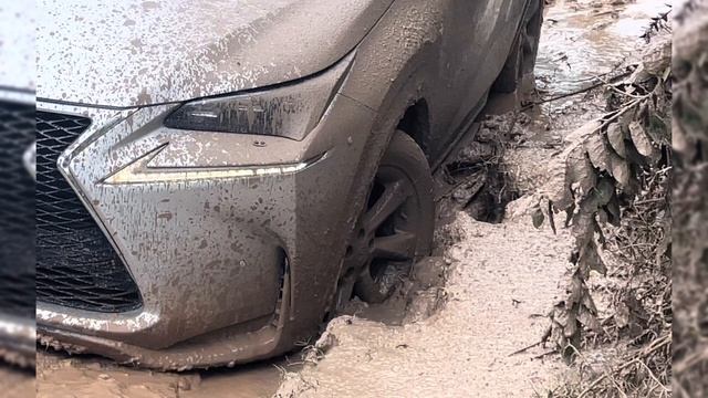 Lexus Nx200t FWD Offroad