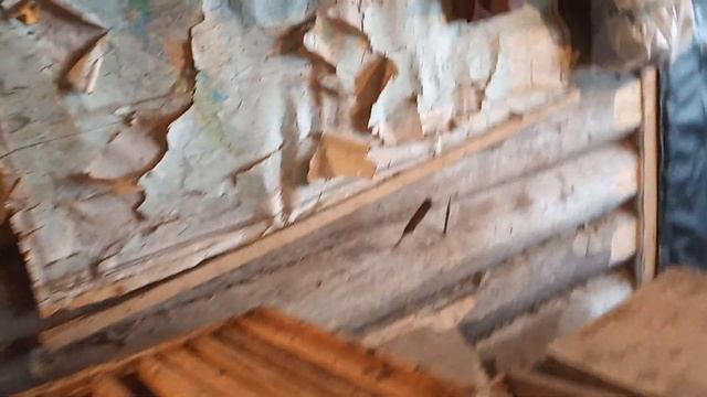 Пчеловодство №43 О восковой моле, и как я не допускаю ее развития смотреть онлайн