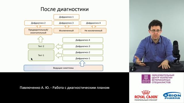 Павлюченко А. Ю. - Работа с диагностическим планом смотреть онлайн