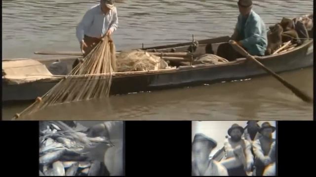 Нелёгкая жизнь вилковских рыбаков и вилковчан смотреть онлайн