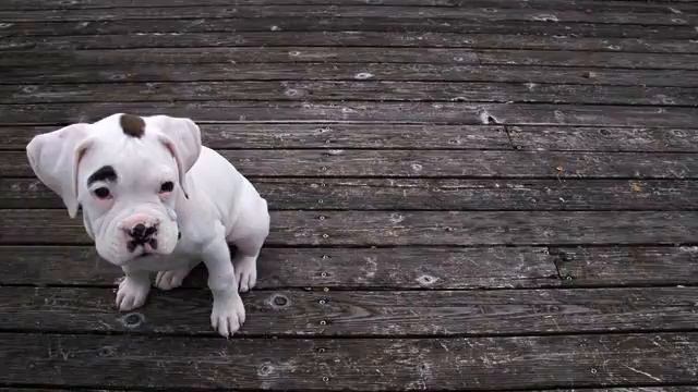 Это были мои грезы! Новинка просто хит! Это стоит... смотреть онлайн