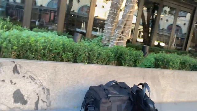 Через тернии к цели. Яна Смит в аэропорту спит! смотреть онлайн