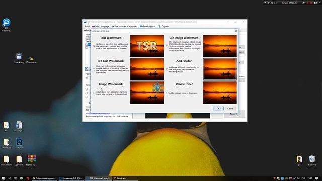 Добавляем водяные знаки на фото. Автоматическая обработка фотографий и картинок. Ссылка на программ смотреть онлайн