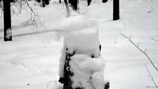 снежная шапка.avi смотреть онлайн